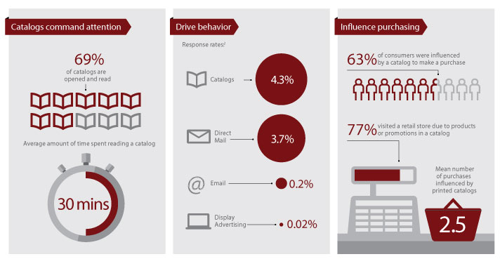 CatalogInfographic