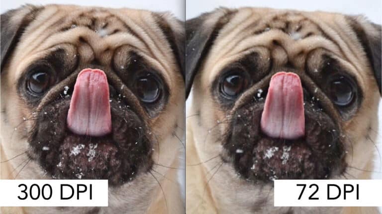 How to Get the Perfect Print Resolution